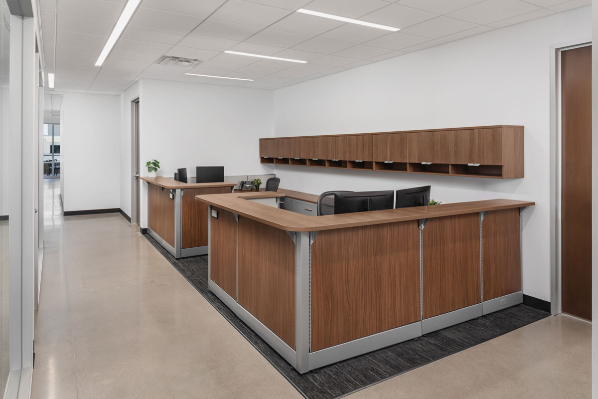 Vector Installation project